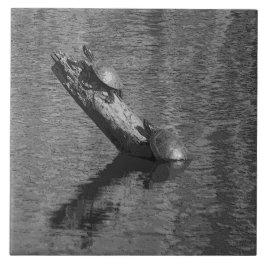 Azulejo De Cerámica El tiempo de la tortuga mide el tiempo dos de la