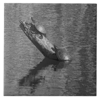 Azulejo De Cerámica El tiempo de la tortuga mide el tiempo dos de la