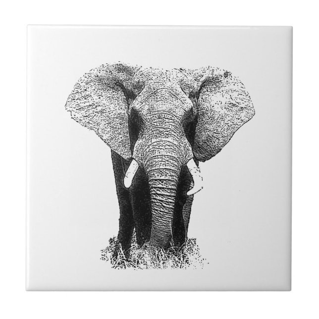 Azulejo De Cerámica Elefante blanco y negro