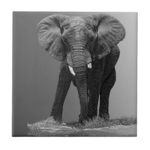 AZULEJO DE CERÁMICA ELEFANTE EN PENDIENTE