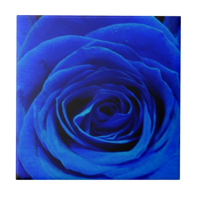 Azulejo De Cerámica Elegantes rosas azules flores azules florales azul (Frente)
