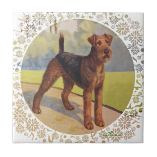 Azulejo De Cerámica En el campo