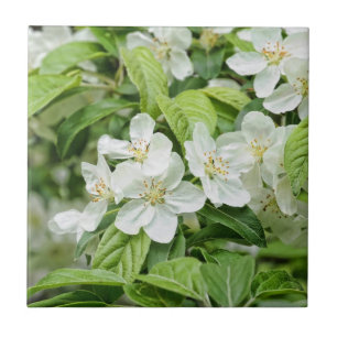 Azulejo De Cerámica Encantadoras flores de primavera