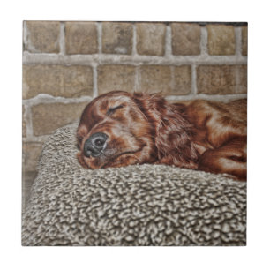 Azulejo De Cerámica Encanto