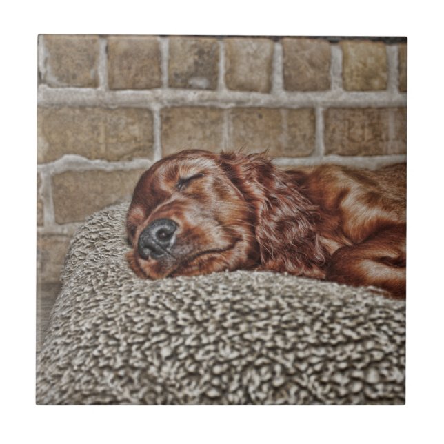 Azulejo De Cerámica Encanto (Frente)