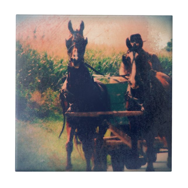 Azulejo De Cerámica Equipo de caballos de Amish (Frente)