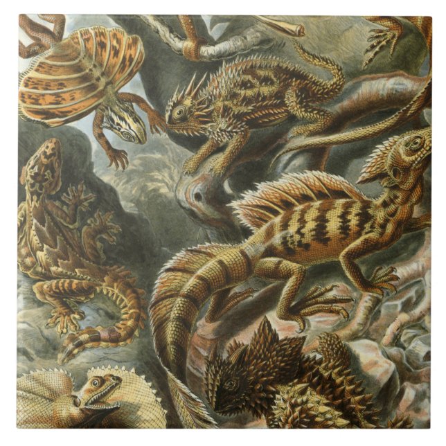Azulejo De Cerámica Ernst Haeckel antiguo ilustracion de moda Lacertil (Frente)