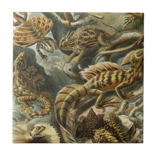 Azulejo De Cerámica Ernst Haeckel antiguo ilustracion de moda Lacertil