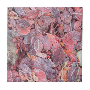 Azulejo De Cerámica Escarcha en hojas caídas, Colores de otoño, Mill C