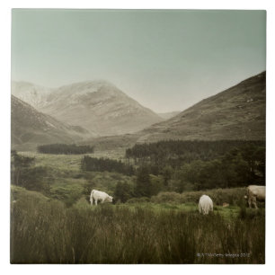 Azulejo De Cerámica Escena irlandesa de la montaña