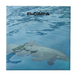 Azulejo De Cerámica Escena submarina de delfines en Florida