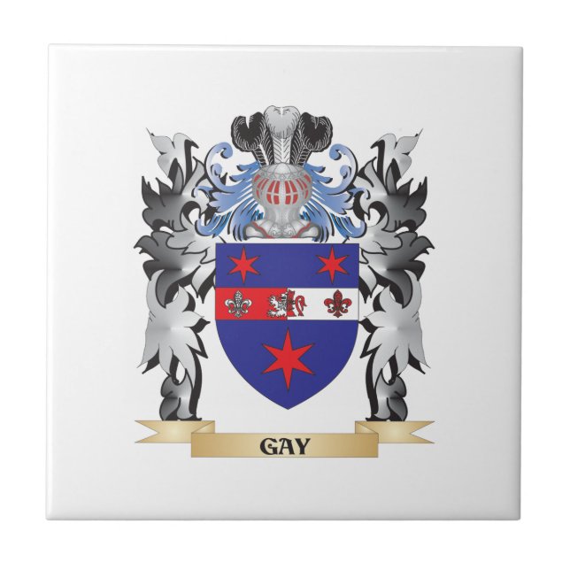 Azulejo De Cerámica Escudo de armas gay - escudo de la familia (Frente)