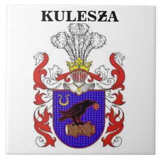 AZULEJO DE CERÁMICA ESCUDO DE LA FAMILIA DE KULESZA