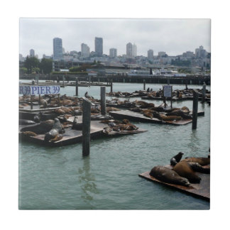 Azulejo De Cerámica Esquina de San Francisco y Pier 39 Sea Lions City