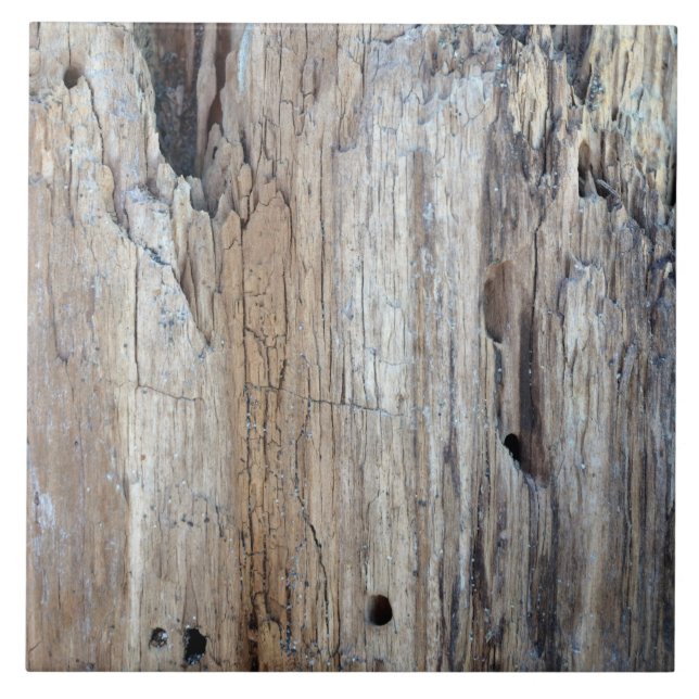 Azulejo De Cerámica Está eso un pedazo de Driftwood (Frente)