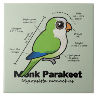 Azulejo De Cerámica Estadísticas del Parakeet del monje
