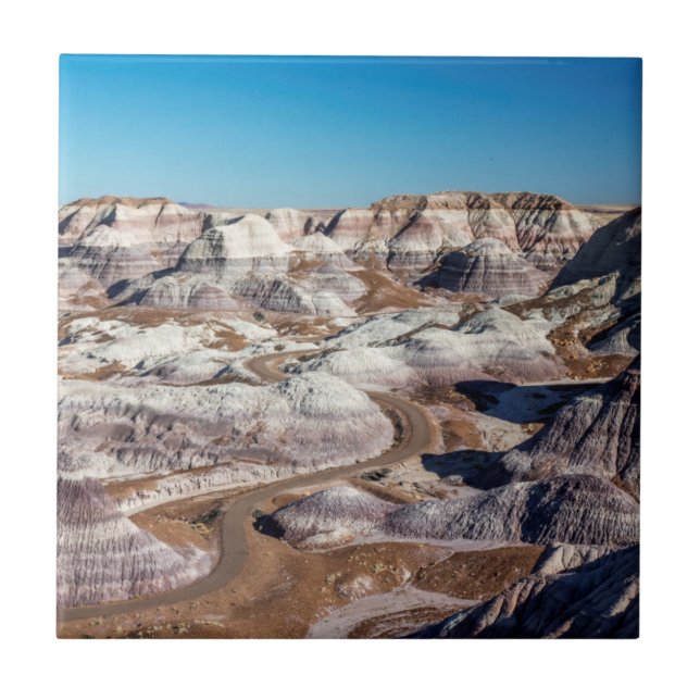 Azulejo De Cerámica Estados Unidos, Arizona, Parque Nacional del Bosqu (Frente)