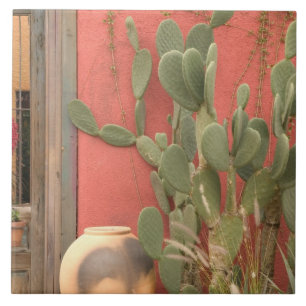 Azulejo De Cerámica Estados Unidos, Arizona, Tucson: Distrito Históric