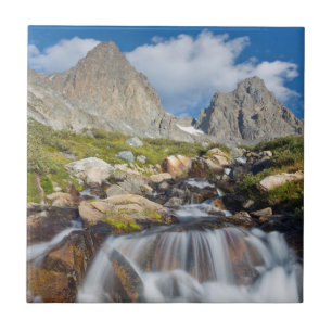 Azulejo De Cerámica Estados Unidos, California, Bosque Nacional Inyo 1