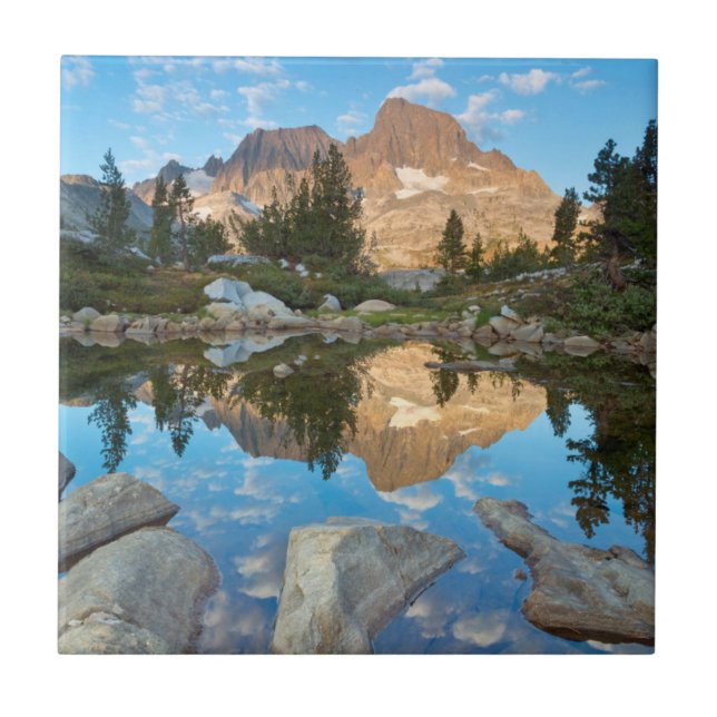 Azulejo De Cerámica Estados Unidos, California, Bosque Nacional Inyo 5 (Frente)