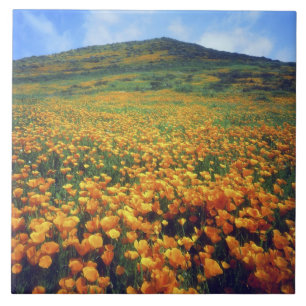 Azulejo De Cerámica Estados Unidos, California, Lago Elsinore.Californ