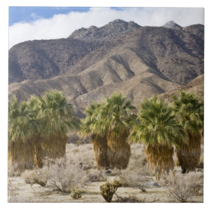 Azulejo De Cerámica Estados Unidos, California, Parque Estatal del Des