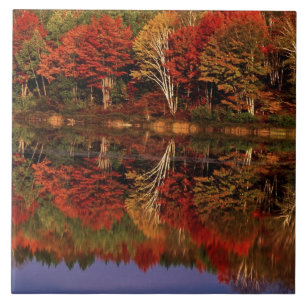 Azulejo De Cerámica Estados Unidos, Michigan, Península Alta.Caída