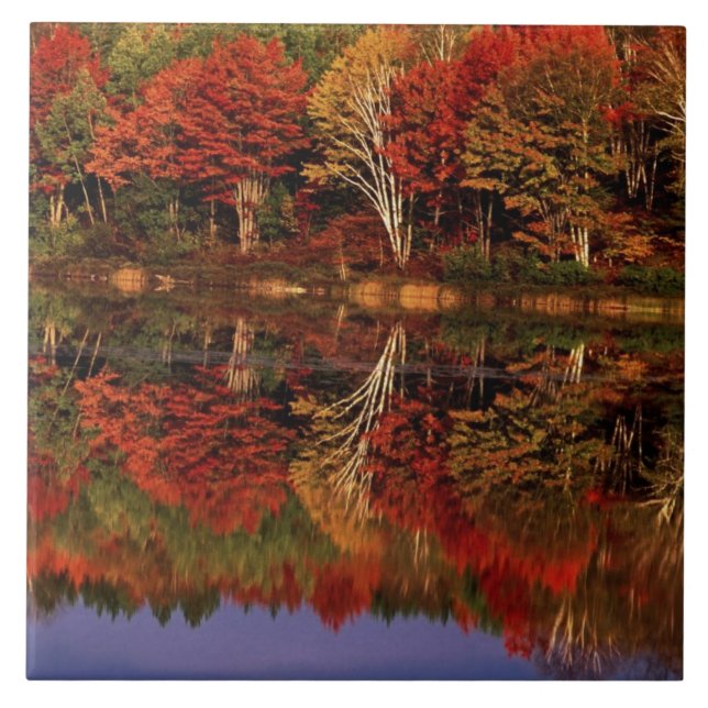 Azulejo De Cerámica Estados Unidos, Michigan, Península Alta.Caída (Frente)
