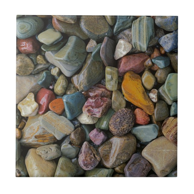 Azulejo De Cerámica Estados Unidos, Montana, Parque Nacional Glacier,  (Frente)