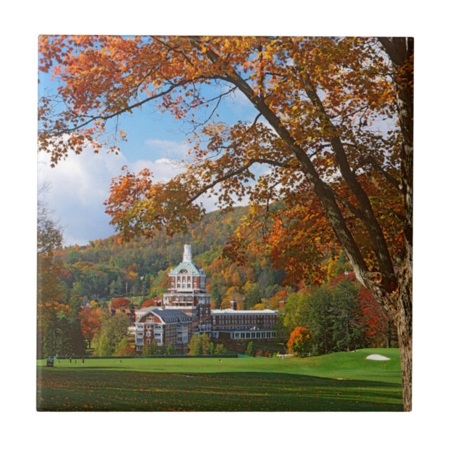 Azulejo De Cerámica Estados Unidos, Virginia, Hot Springs, The Homeste (Frente)