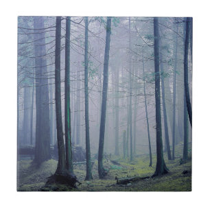 Azulejo De Cerámica Estados Unidos, Washington, Isla Orcas, Parque Est