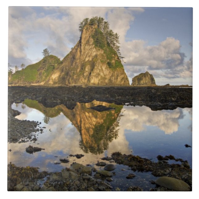 Azulejo De Cerámica Estados Unidos, Washington, Parque Nacional Olímpi (Frente)