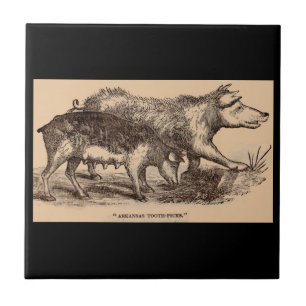 Azulejo De Cerámica estampa de animales de granja del siglo XIX cerdos