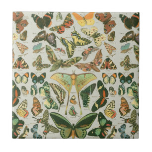 Azulejo De Cerámica Estampa de patrón de mariposa polilla vintage
