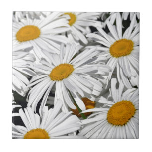 Azulejo De Cerámica Estampado de flores bonito de la margarita blanca