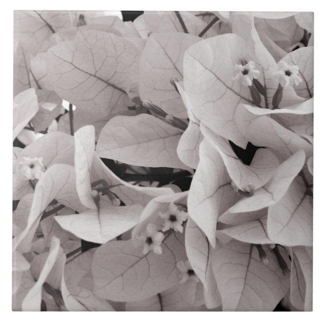 Azulejo De Cerámica Estampado de flores elegante del estilo del (Frente)