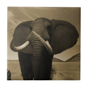 Azulejo De Cerámica Estatura majestuosa