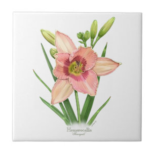 Azulejo De Cerámica Estilo de arte botánico de Hemerocallis naranja