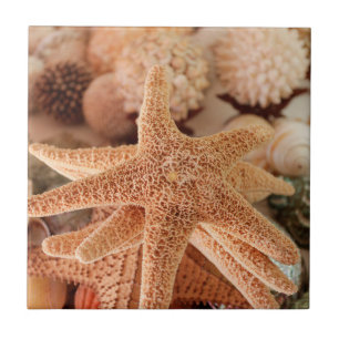 Azulejo De Cerámica Estrellas de mar secas vendidas como souvenirs