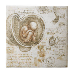 Azulejo De Cerámica Estudios de Leonardo da Vinci del feto en la