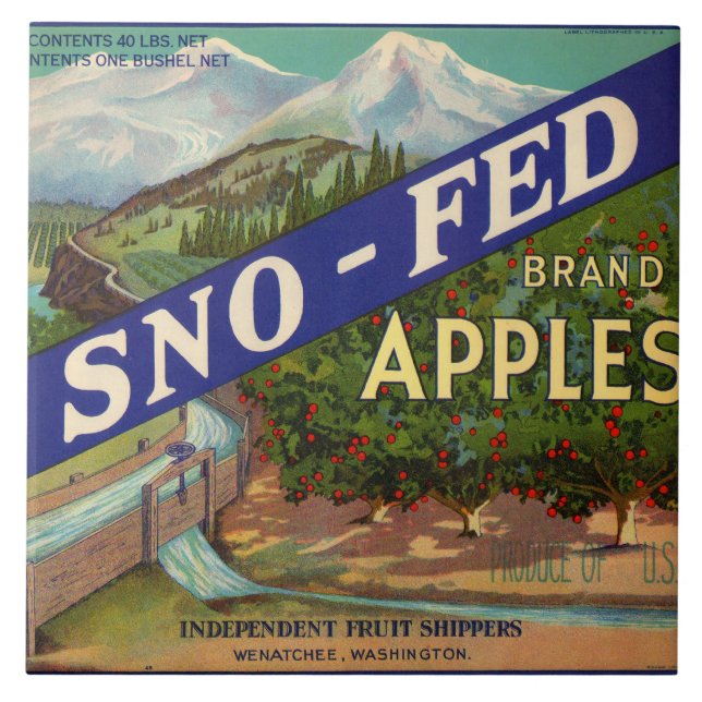 Azulejo De Cerámica Etiqueta del cajón de Sno-FED Apple (Frente)