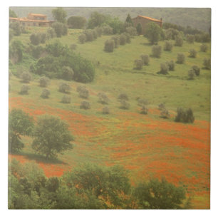 Azulejo De Cerámica Europa, Italia, Toscana, Val D'Orcia, Monte