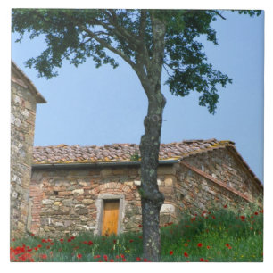 Azulejo De Cerámica Europa, Italia, Toscana, villa abandonada en