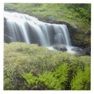 Azulejo De Cerámica Europa, Noruega. Cascada.