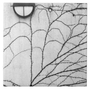 Azulejo De Cerámica Europa, Suiza, Lucerna. Motivo de marfil en