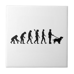 Azulejo De Cerámica Evolución cocker spaniel
