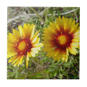 Azulejo De Cerámica F8 Flores silvestres amarillas Gaillardia