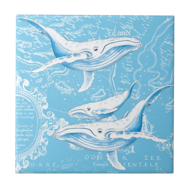 Azulejo De Cerámica Familia de ballenas azules (Frente)