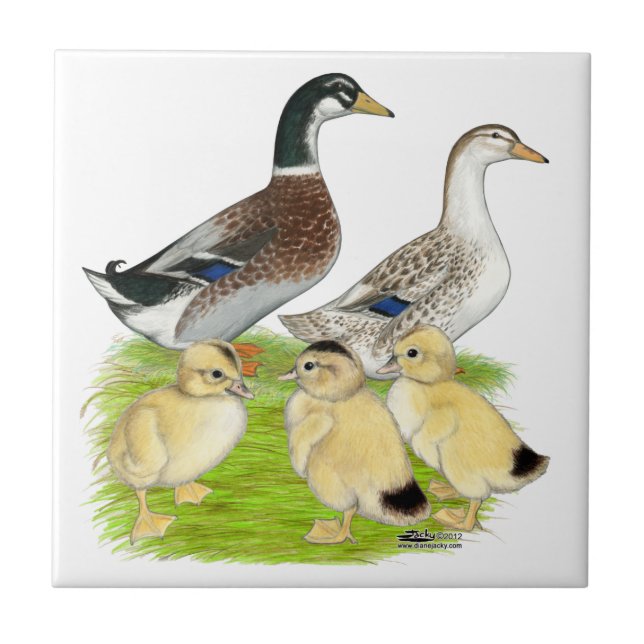 Azulejo De Cerámica Familia Silver Appleyard (Frente)