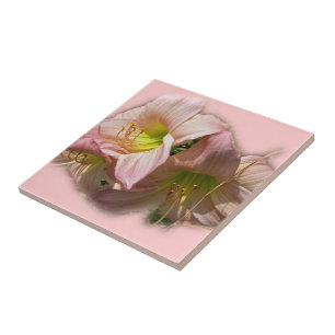 Azulejo De Cerámica Fancy Pink Daylilies